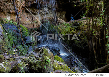 Nature Nature 100194866