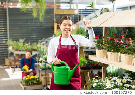 Gardener woman standing near various potted plants holding watering can in container garden 100197270