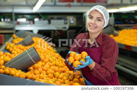 Smiling young girl working on mandarins sorting factory 100197306