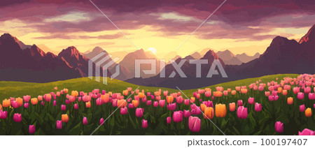 A field of tulips against the backdrop of mountains. Spring banner vector illustration. huge field of colorful tulips. Behind the field is a mountain range. Sunset. clouds of orange 100197407