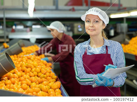 Female shift supervisor with papers inspecting mandarins sorting line Female shift supervisor with papers inspecting mandarins sorting line 100197412