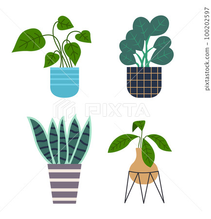 Decorative set green plant with long leaves in ceramic pot, pot with houseplant. Home interior plant Decorative set green plant with long leaves in ceramic pot, pot with houseplant. Home interior plant 100202597