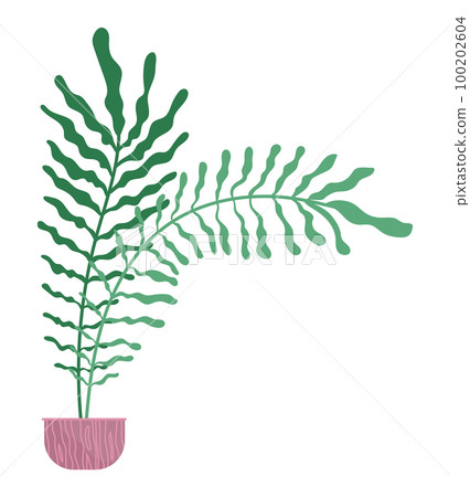 Decorative green plant with long leaves in ceramic pot, pot with houseplant. Home interior plant Decorative green plant with long leaves in ceramic pot, pot with houseplant. Home interior plant 100202604