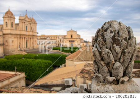 Pine cone at Noto 100202813