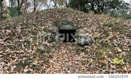 Ichisuka Burial Mounds 100202970