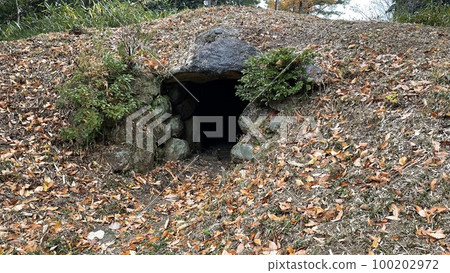 Ichisuka Burial Mounds 100202972