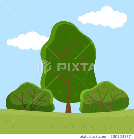 Summer trees and blooming bush collection, bushes at field, green grass, sky with clouds background 100203177