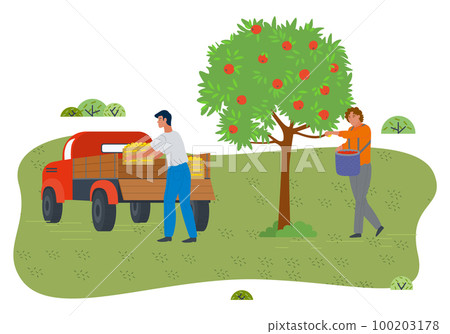 Guy holding basket full of fruits, man loading wooden boxes with fresh crop into car, garden works Guy holding basket full of fruits, man loading wooden boxes with fresh crop into car, garden works 100203178