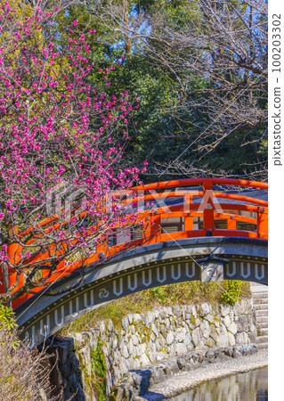Kyoto Shimogamo Shrine Korin's Plum Blossoms and Ring Bridge 100203302