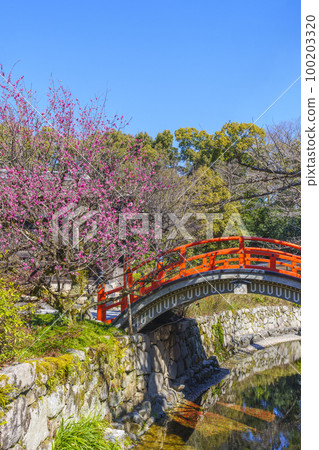 Kyoto Shimogamo Shrine Korin's Plum Blossoms and Ring Bridge Kyoto Shimogamo Shrine Korin's Plum Blossoms and Ring Bridge 100203320