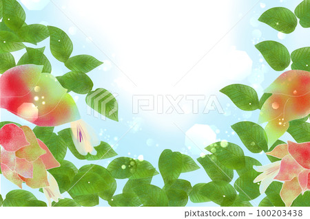 蝦草卡2 蝦草卡2 100203438