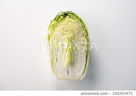 大白菜 青梗才 蔬菜 100203471