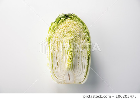 大白菜 青梗才 蔬菜 100203473