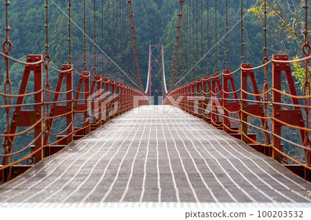 Zao Bridge Wakayama 100203532
