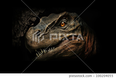 Close up on a The head of dinosaur in the dark background. High quality photo Close up on a The head of dinosaur in the dark background. High quality photo 100204055