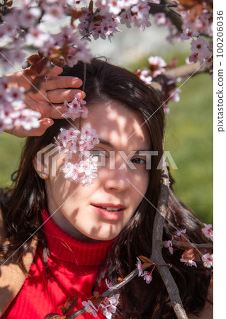 woman taking picture in blooming sakura tree woman taking picture in blooming sakura tree 100206036