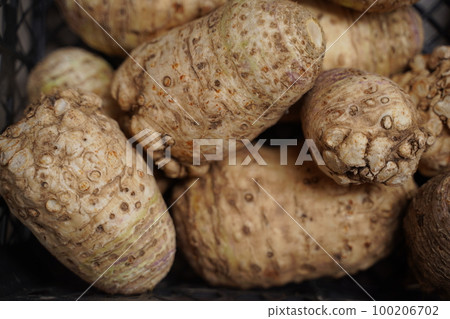 Celery roots background. Ecologically pure products of plant origin. Vegetable background. Celery roots background. Ecologically pure products of plant origin. Vegetable background. 100206702