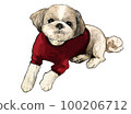 Shih tzu dog illustration 2 100206712