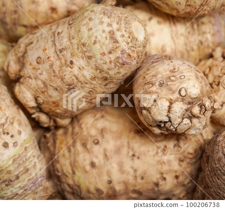 Celery roots background. Ecologically pure products of plant origin. Vegetable background. 100206738