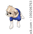 Shih tzu dog illustration 1 100206763