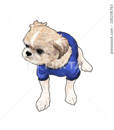 Shih tzu dog illustration 1 100206763