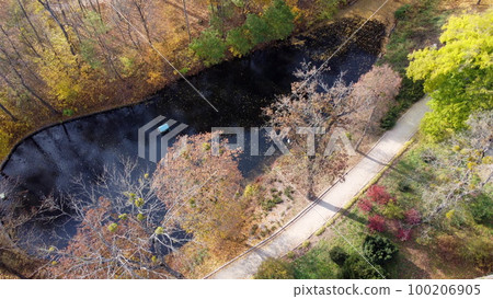 Flying over autumn park. Many trees with yellow green and fallen leaves, lakes in park on sunny autumn day. Top view. Aerial drone view. Beautiful natural background Flying over autumn park. Many trees with yellow green and fallen leaves, lakes in park on sunny autumn day. Top view. Aerial drone view. Beautiful natural background 100206905