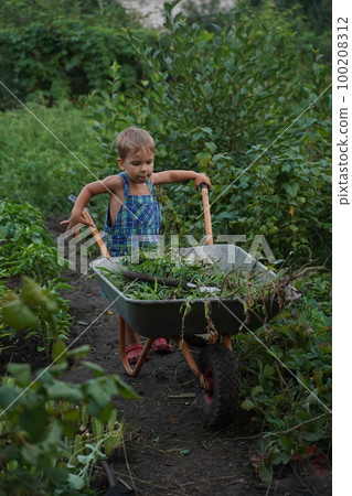 Cute little boy driving the wheelbarrow in the the garden through the flower. Male try to move cart, working outdoor. Selective focus 100208312