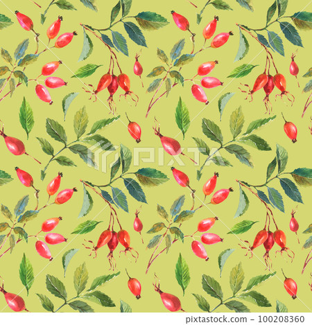 Seamless pattern with hand painted watercolor rose hip berries with green leaves on a green background. 100208360