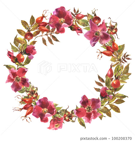 Watercolor rose hip wreath. Flowers, leaves and fruits of wild roses. Watercolor illustration isolated on white background. 100208370