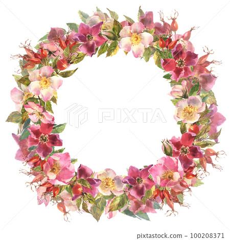 Watercolor rose hip wreath. Flowers, leaves and fruits of wild roses. Watercolor illustration isolated on white background. 100208371