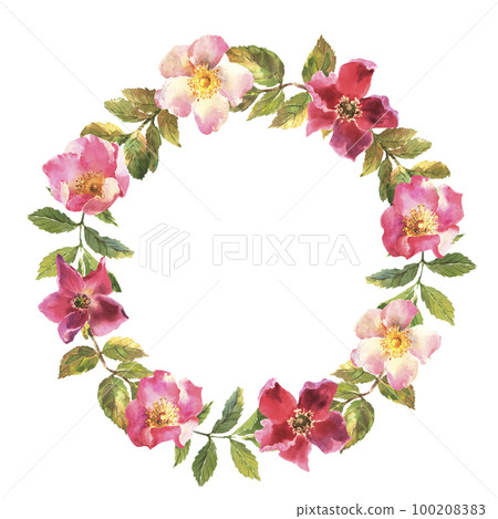 Watercolor rose hip wreath. Flowers, leaves and fruits of wild roses. Watercolor illustration isolated on white background. Watercolor rose hip wreath. Flowers, leaves and fruits of wild roses. Watercolor illustration isolated on white background. 100208383
