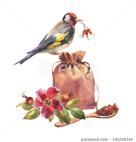 Watercolor illustration linen bag and wooden spoon with rosehip tea, brier flowers and berries, and goldfinch bird, isolated on white background. 100208384