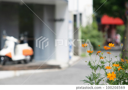 人行道上的宇宙和復古滑板車 100208569