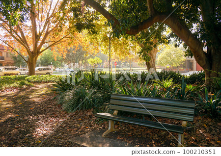 Park scenery in a quiet residential area of Perth Park scenery in a quiet residential area of Perth 100210351