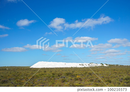The Lancelin Dunes towering over the plains of Western Australia The Lancelin Dunes towering over the plains of Western Australia 100210373