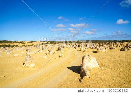 Nambung National Park (Pinnacles) Walking Trail Nambung National Park (Pinnacles) Walking Trail 100210382
