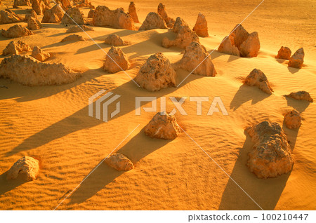 Shadows over the rock formations of the Pinnacles 100210447