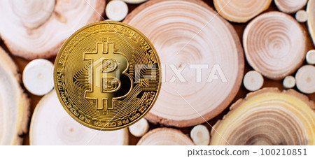 Gold bitcoins with Candle stick graph chart 100210851