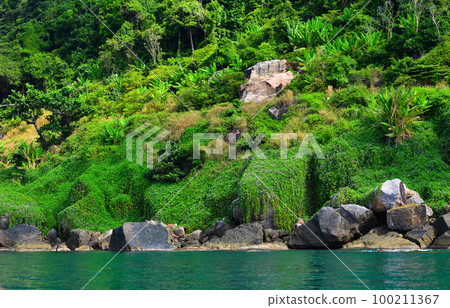 Beautiful green island in Southern Vietnam 100211367