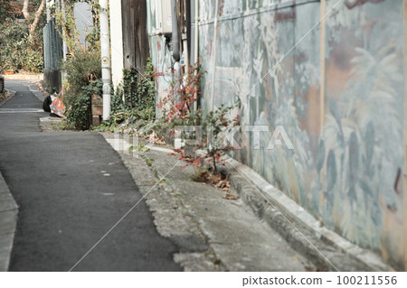 拍攝京都市町家胡同 拍攝京都市町家胡同 100211556