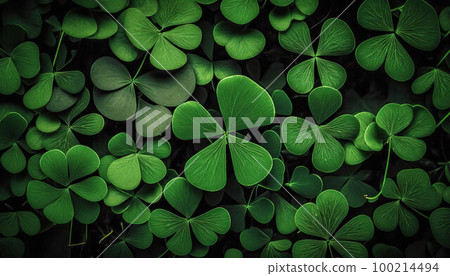 green four leaf clover is a symbol of the celebration of St. Patrick's Day green four leaf clover is a symbol of the celebration of St. Patrick's Day 100214494
