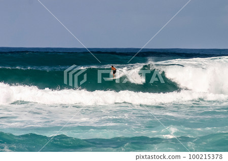 Hawaiian scenery 100215378