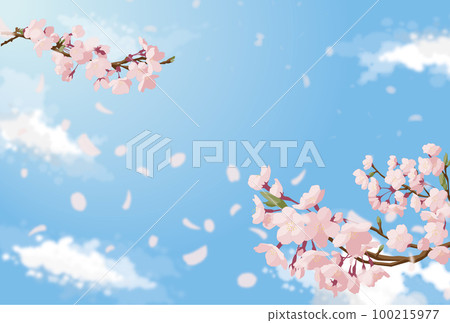 藍天和櫻花 藍天和櫻花 100215977