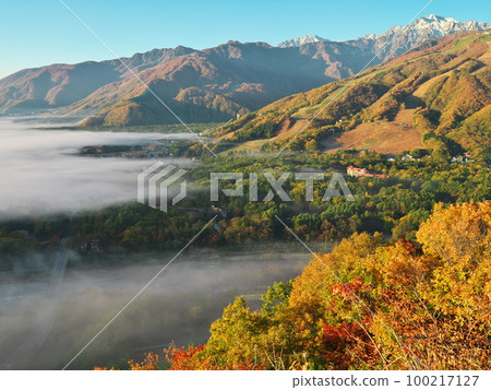View of autumn leaves bathed in the morning sun and Shinshu Hakuba Valley sinking into a sea of clouds from the Donguri Panorama Observatory 100217127