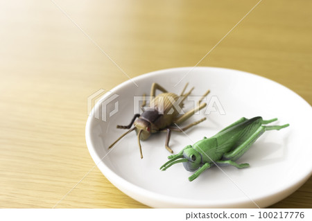 Two toy insects on a plate. Insect food image Two toy insects on a plate. Insect food image 100217776