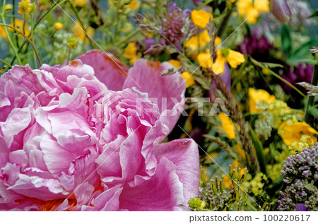 Flowers for sale - Flower market Flowers for sale - Flower market 100220617