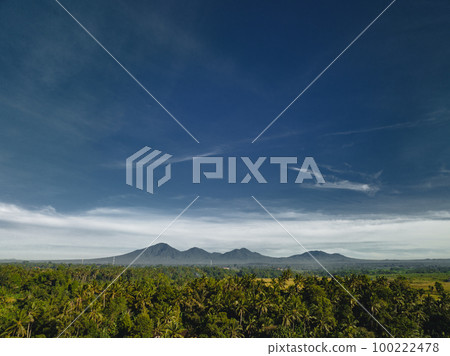 Rice Terrace and volcano in background, Ubud, Bali, Indonesia. Top view 100222478