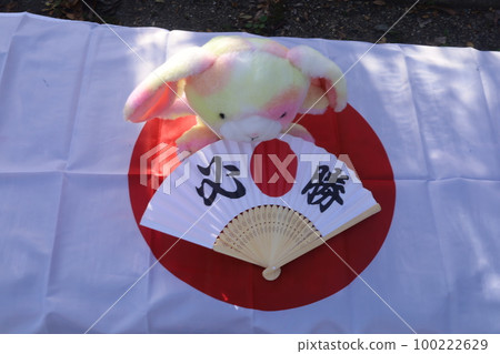 wish for victory 100222629