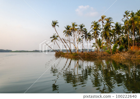 Backwaters of Kemmanu delta Backwaters of Kemmanu delta 100222640