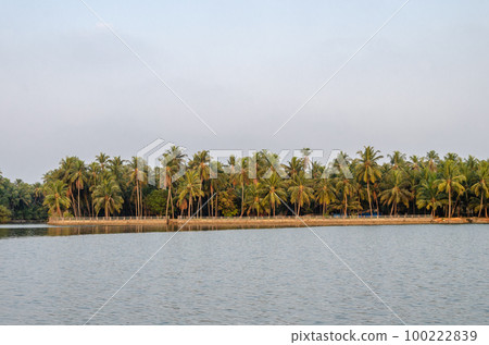 Backwaters of Kemmanu delta Backwaters of Kemmanu delta 100222839